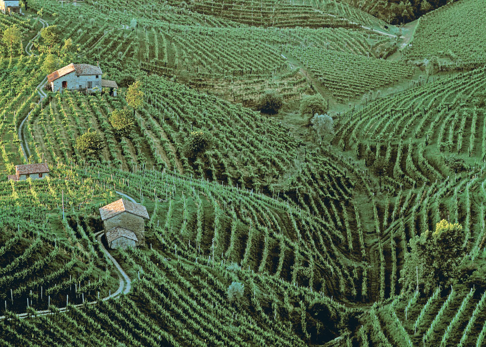 Steep, terraced vineyards of Valdobbiadene