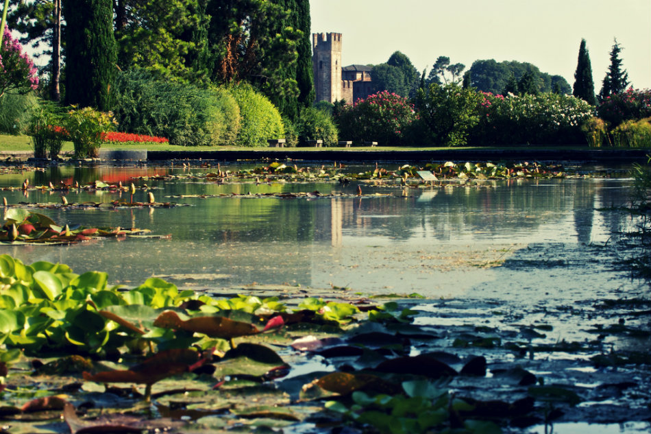 Water gardens - by Babo Style