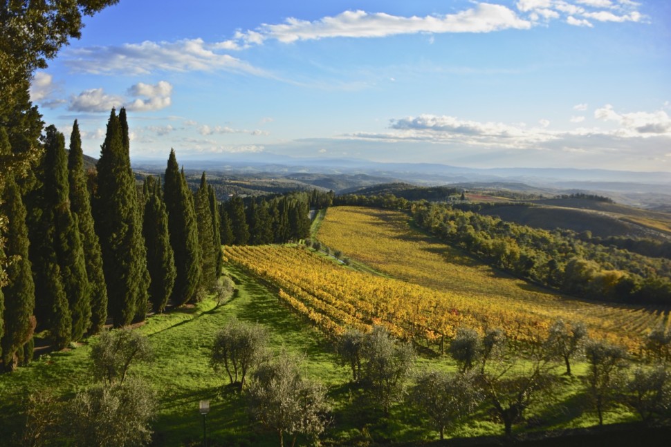 tuscany is a top italian wine region