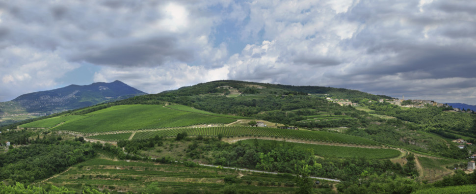 valpolicella veneto wine region
