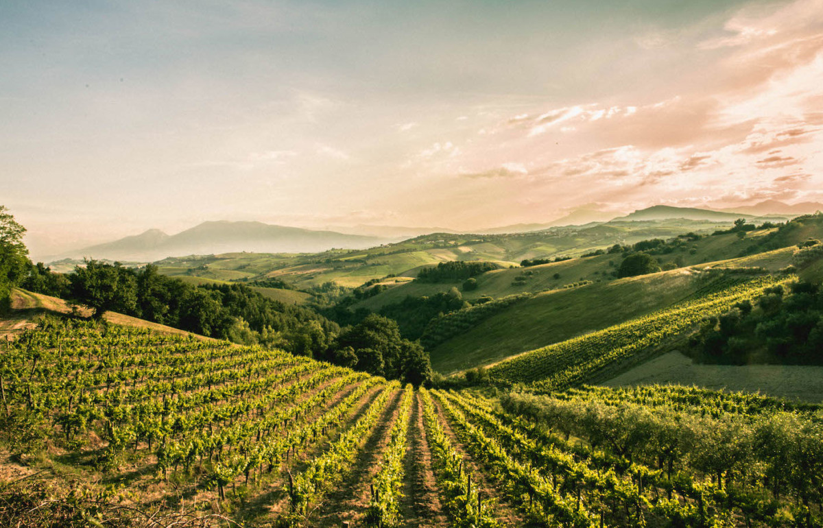 Best Italian Wine Destinations in the Spring - The Grand Wine Tour