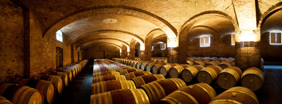 Ceretto's winery, Piedmont, Italy